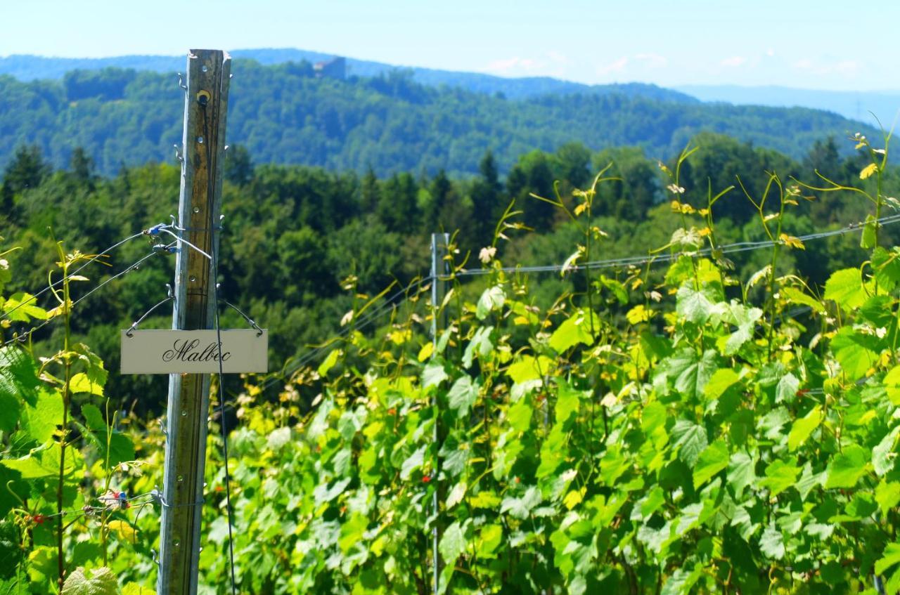 Prophetengut - Die Perle Im Jurapark Habsburg Extérieur photo